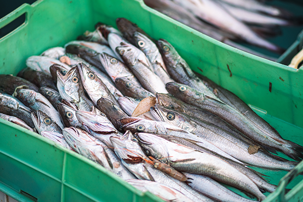 omni-id-fish-tracking-listing
