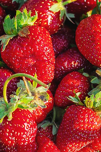 Reduce food waste and minimize human error 