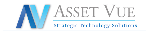 Asset Vue