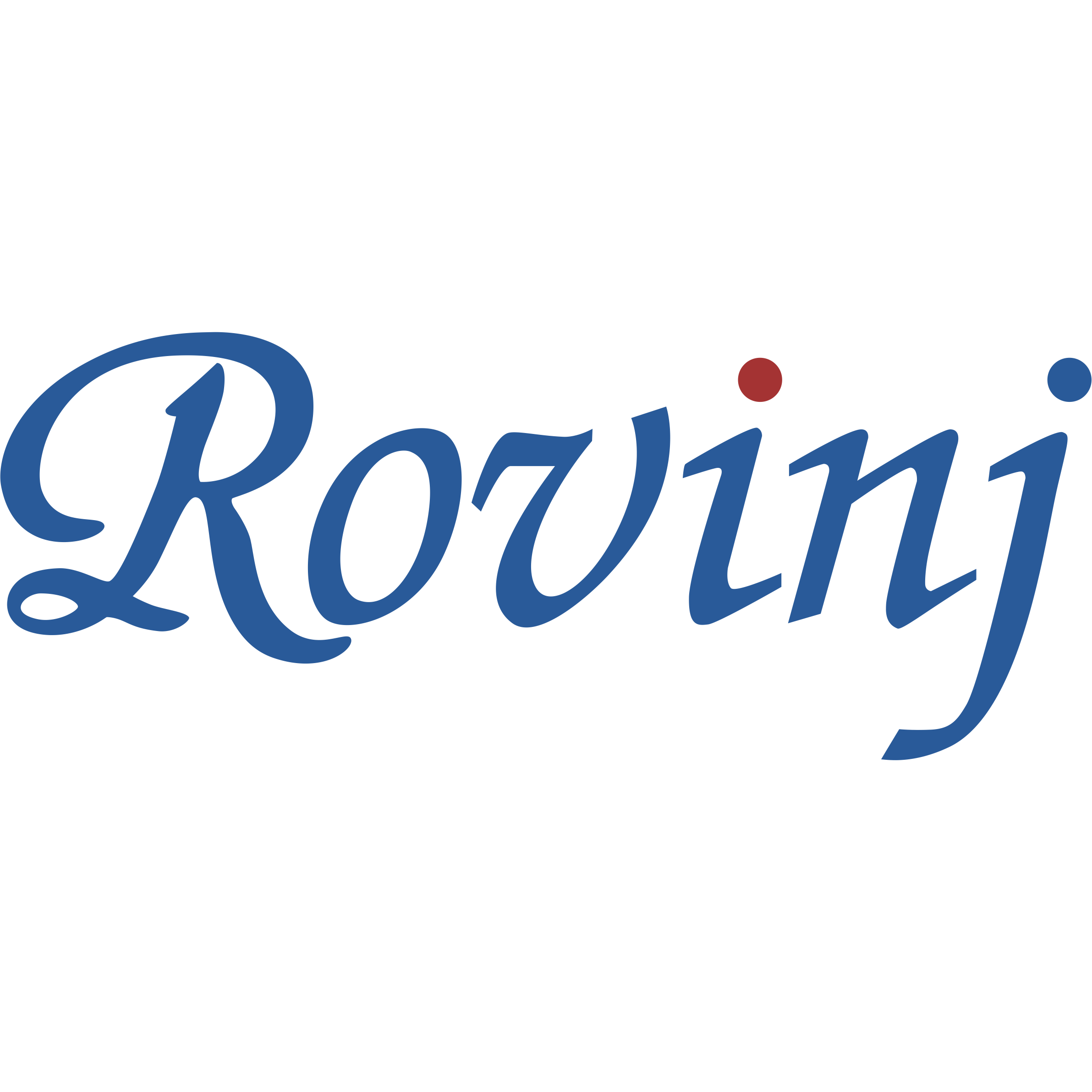 Guangzhou Rovinj Information Technology Co., Ltd.