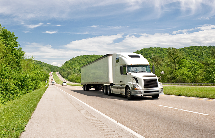 Un camion blanc de grande taille roule sur une autoroute entourée